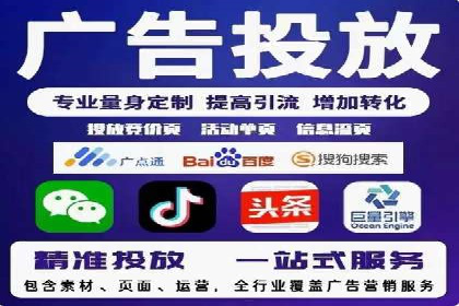 网络推广策略：竞价广告的实践案例